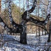 c9c73541b050972b5eaee712df4174ca