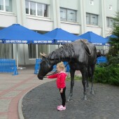 cbdef578e4b7eeff0e07ed82abc64ce0