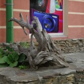 d25ab66829a506461014df25888c6a36