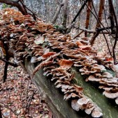 d7056db7ef8fb831b23203fecbd020f0