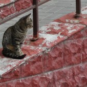 d70c292c02dc865e5534f6ec58cf1bc7