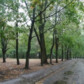 003b274c01525e801c93c25428070a6d