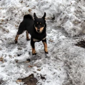 110ff6ec9a57a5cefc14e251ff1dc918