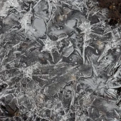 12158d0114900a4f0ebd595a9c38bbc0