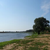 1b76a84a68cfc431e54d82738d6f611a