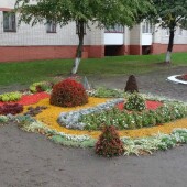 20455dc3075e596761bc95ed4af9e806