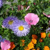 217114b5c30ecc9949ff74d24d8f2ccb