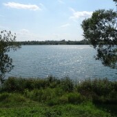 2c9f92f1b28dfc843d7780532deb75d6