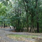 2d87f10a4f0219d1ff085a5866c8a338