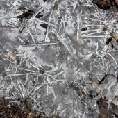 2ed6e7dee55dbadfbf4377832e05124c