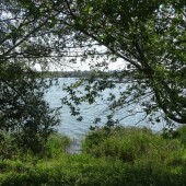 30557fbdec8531a8e6c7e93748287dc8