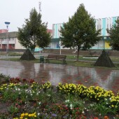 3229e01bb7efacaf2d6006a0b1ee2160