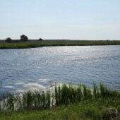 3a3695a6a8b81697dfec7e4d8e07849a