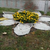 3aeeb68b2fe5d6e4e22f6d604538c3d1