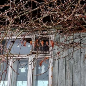 3cc0689a4f77b924ab660d4c8858f1e9