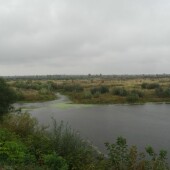 4163962b986c23300f7f3dfda8302706