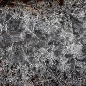 434fe8ccb2faaa585604eb1e25cfcb8c