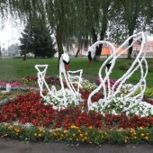 43911ba3df82cb3f4814a43e3f90204d