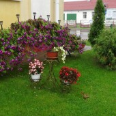 4392c687f37462ee7507e17be30f69f3