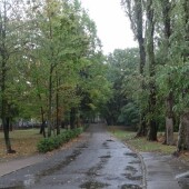 4cf2feca461d06a392cbd1f85acdda61