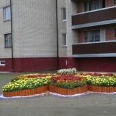 5216920f8a228156817be135acc16370