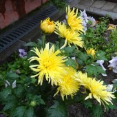 5472231ff4949a4e0051ce0a1a88e828