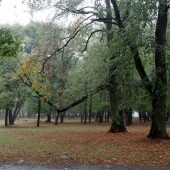 5486a15245cd15dc2f737a54a4451b86