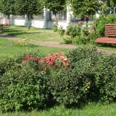 597349ef66b2e22a71800a593ac0c7ad