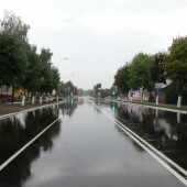 5ac5ad0c608056139ccec7a6b86c38a1