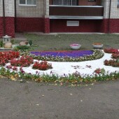 5af96086b75d954adaff743d52daa4ea