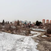 5c1d79fcc86c79b0e314da6d0ef28164