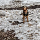 5c90d9760de005820b777e8b6285a86d