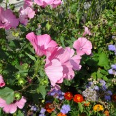 5dc6f1db8b71286ef3972ed79e5111ee