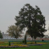 5f65da9e3c8764b8ccd516e3d7576bab