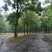 645bf5470e5d4d38d39bd86d8656b78a