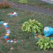 678748c41305c7b167f51a22ceaab77e