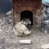 6ac6ebf0012cb294d32c71ec7e4529a4