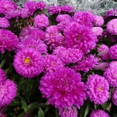 6baca4167380d35ae11c80e29291e649