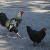 6e14dcf793f341d591daa1d2e4019d41