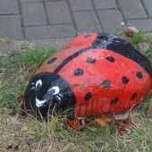 6ef72fb0a85ee38157986417e8699985