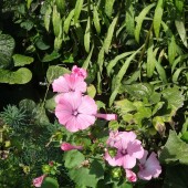 7092e79f06f5b133215febc6211b7afe