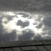 8eb3a1ea33063367cbe8467a2cc984de