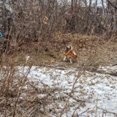 93e1273c46fe95f83a0152e5b88bb0f0