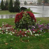 94103a72945bb9cfc547dbd027aa7498