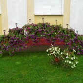 9e42eb12c0ed0d5af1283f2de3efebe9