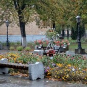 a044bbda17b5847dbe8d81425c386076