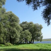 a100c1c60d0701fc3b1417589cf95a07