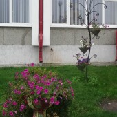 a5f3f9c9ec8182b24a2f1c69b7dad07e