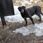 a9269e5262b8d6add895ad8b15f0c934