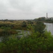 a96067290d61d37dab166982a0567da8